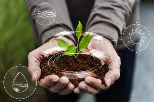 Biocombustibles: Argentina se suma a la transición global