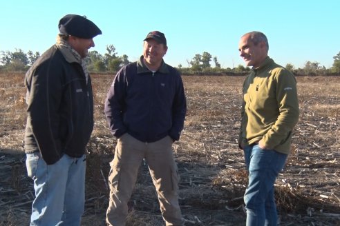 Mariano Podversich - Productor Agropecuario - Siembra de trigo en Cerrito