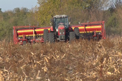 Mariano Podversich - Productor Agropecuario - Siembra de trigo en Cerrito