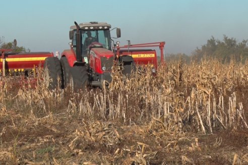 Mariano Podversich - Productor Agropecuario - Siembra de trigo en Cerrito