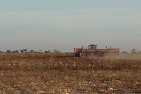 Mariano Podversich - Productor Agropecuario - Siembra de trigo en Cerrito