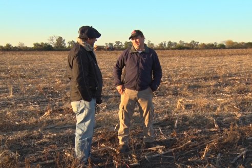 Mariano Podversich - Productor Agropecuario - Siembra de trigo en Cerrito