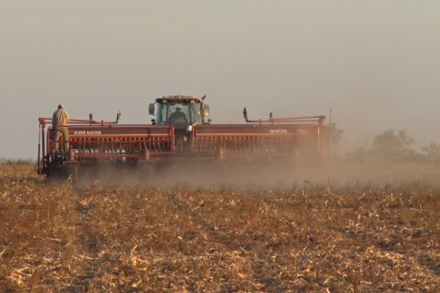 Mariano Podversich - Productor Agropecuario - Siembra de trigo en Cerrito