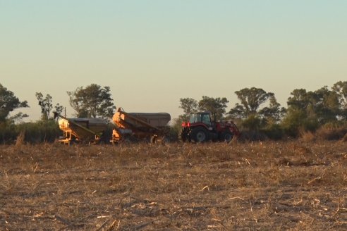 Mariano Podversich - Productor Agropecuario - Siembra de trigo en Cerrito