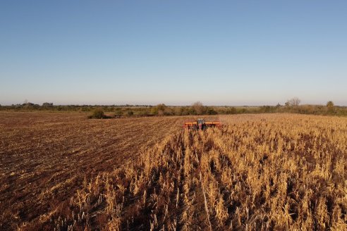 Mariano Podversich - Productor Agropecuario - Siembra de trigo en Cerrito