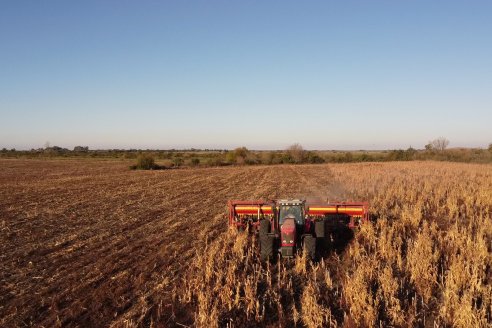 Mariano Podversich - Productor Agropecuario - Siembra de trigo en Cerrito