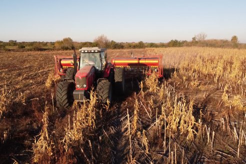 Mariano Podversich - Productor Agropecuario - Siembra de trigo en Cerrito