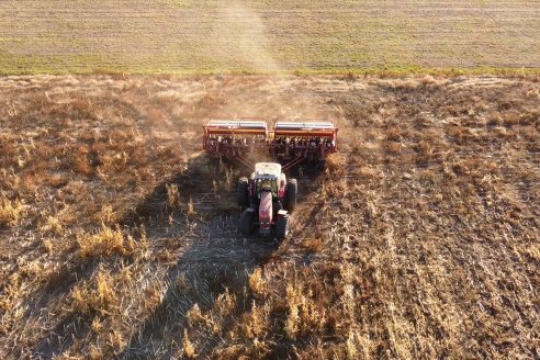 Mariano Podversich - Productor Agropecuario - Siembra de trigo en Cerrito