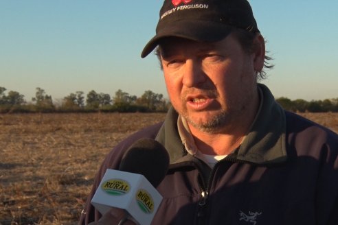 Mariano Podversich - Productor Agropecuario - Siembra de trigo en Cerrito