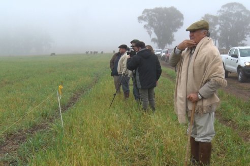 Dia de Campo - Cabaña Coembotá de Calderón - 1 de Julio, 8vo Remate Anual