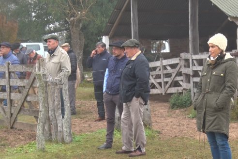 Dia de Campo - Cabaña Coembotá de Calderón - 1 de Julio, 8vo Remate Anual