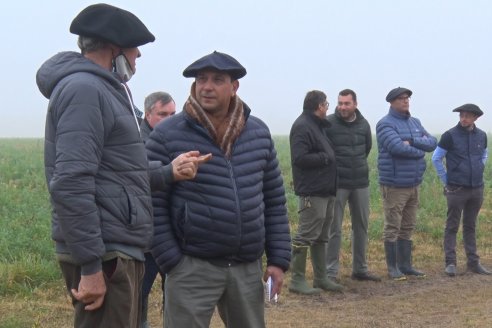 Dia de Campo - Cabaña Coembotá de Calderón - 1 de Julio, 8vo Remate Anual