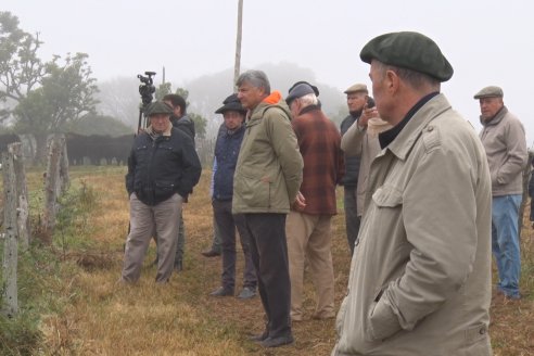 Dia de Campo - Cabaña Coembotá de Calderón - 1 de Julio, 8vo Remate Anual