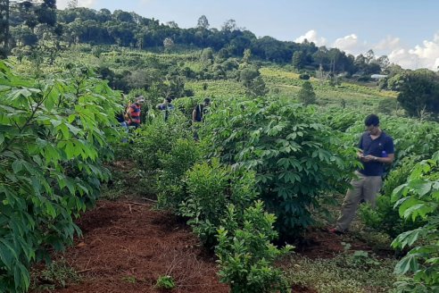 En Concordia ahora tienen su propio sello agroecológico