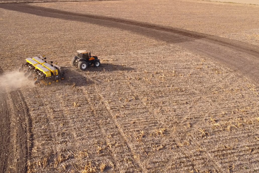 El 98% de las arvejas del país se cultivan aquí, Buenos Aires y Santa Fe.