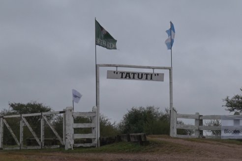 Hereford es sinónimo de calidad en el Establecimiento Tatuti - Gira Hereford Mesopotamica 2022