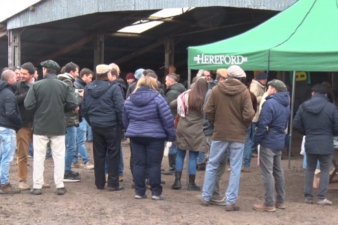 Hereford es sinónimo de calidad en el Establecimiento Tatuti - Gira Hereford Mesopotamica 2022