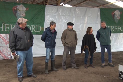 Hereford es sinónimo de calidad en el Establecimiento Tatuti - Gira Hereford Mesopotamica 2022