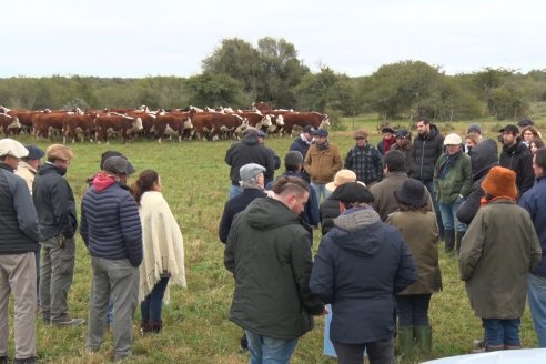 Hereford es sinónimo de calidad en el Establecimiento Tatuti - Gira Hereford Mesopotamica 2022