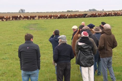 Hereford es sinónimo de calidad en el Establecimiento Tatuti - Gira Hereford Mesopotamica 2022