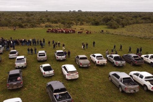 Hereford es sinónimo de calidad en el Establecimiento Tatuti - Gira Hereford Mesopotamica 2022