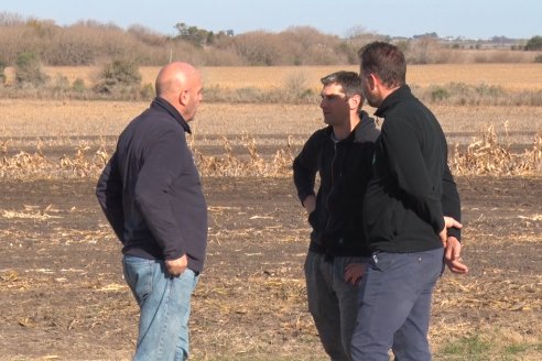 Grinóvero muestra la tecnología que usa al servicio de su campo - Diego Pasinato Agrotecnología