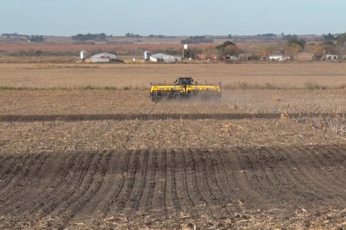 Grinóvero muestra la tecnología que usa al servicio de su campo - Diego Pasinato Agrotecnología