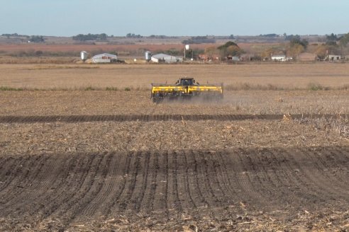 Grinóvero muestra la tecnología que usa al servicio de su campo - Diego Pasinato Agrotecnología