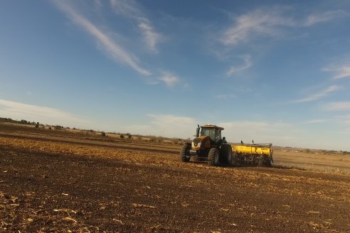 Grinóvero muestra la tecnología que usa al servicio de su campo - Diego Pasinato Agrotecnología