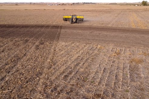 Grinóvero muestra la tecnología que usa al servicio de su campo - Diego Pasinato Agrotecnología