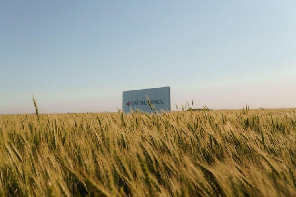 La campaña triguera 2022/23 ya está a toda marcha