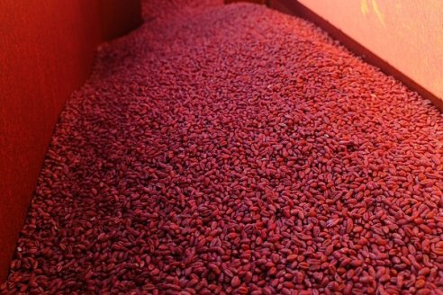 &ldquo;Con el uso de tecnologías hemos producido más y mejores alimentos"