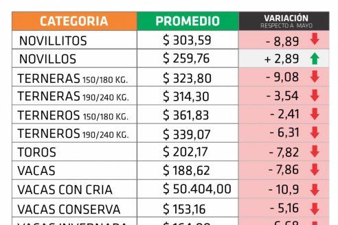 Vaquillonas y novillos, las únicas categorías en alza durante junio