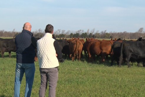 Visita a Cabaña El Aguaribay - Hasenkamp - Angus aptos para conformar un rodeo de excelencia