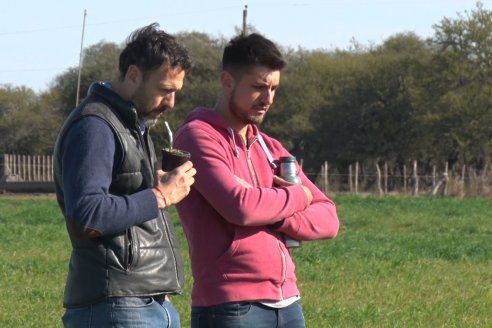 Visita a Cabaña El Aguaribay - Hasenkamp - Angus aptos para conformar un rodeo de excelencia