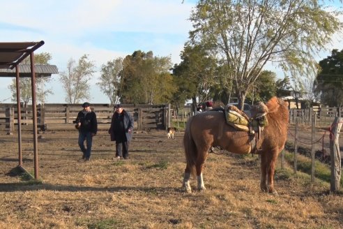 Visita a Cabaña El Aguaribay - Hasenkamp - Angus aptos para conformar un rodeo de excelencia