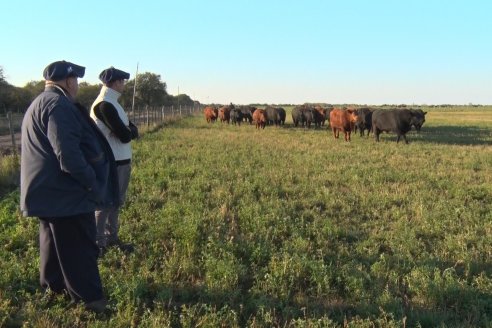 Visita a Cabaña El Aguaribay - Hasenkamp - Angus aptos para conformar un rodeo de excelencia