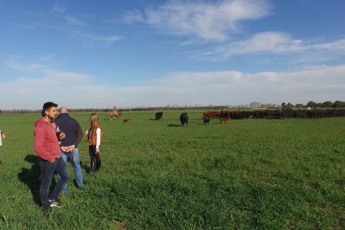 Visita a Cabaña El Aguaribay - Hasenkamp - Angus aptos para conformar un rodeo de excelencia