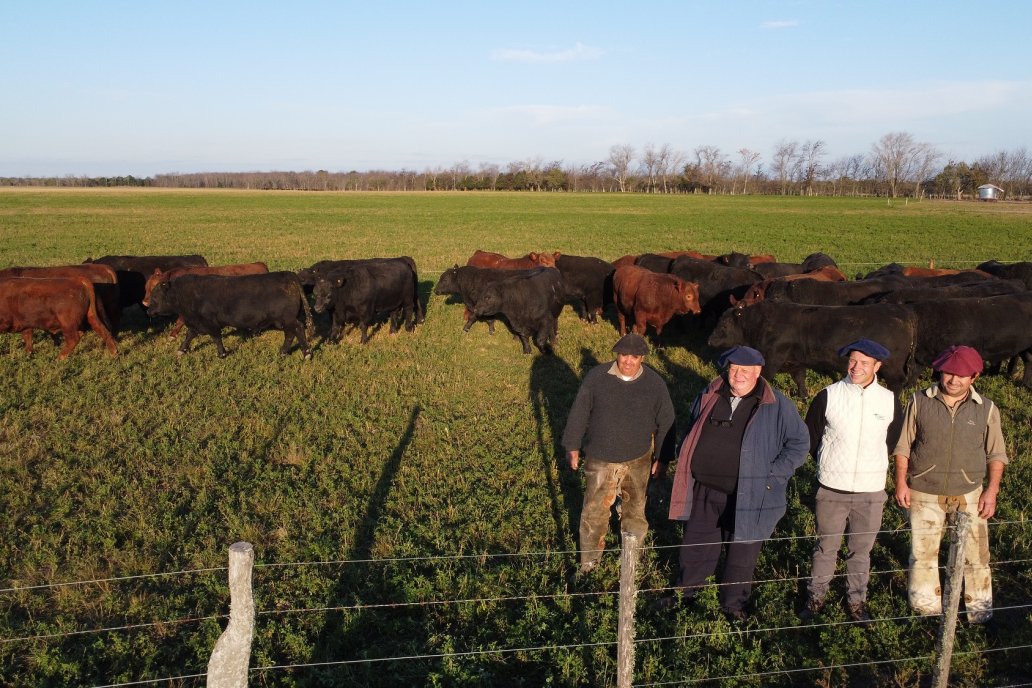 En el Aguaribay, la suplementación de minerales es una labor coordinada.