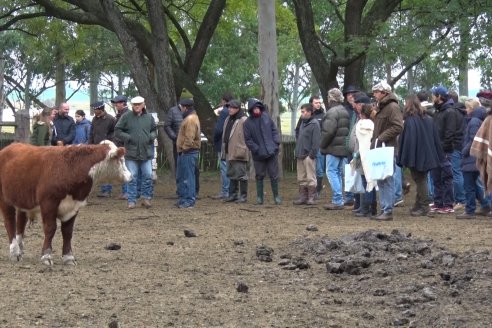 Gira Hereford Mesopotámica 2022: Visita a Establecimiento Santa Rita y Soc.Rural de Chajarí