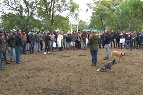 Gira Hereford Mesopotámica 2022: Visita a Establecimiento Santa Rita y Soc.Rural de Chajarí