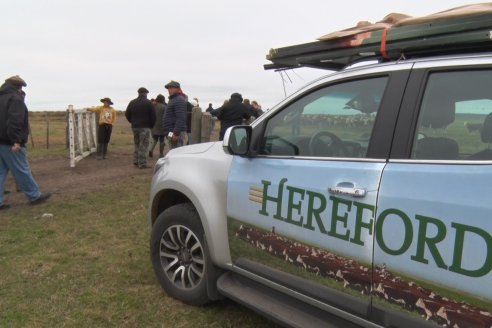 Gira Hereford Mesopotámica 2022: Visita a Establecimiento Santa Rita y Soc.Rural de Chajarí