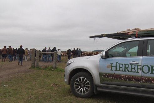 Gira Hereford Mesopotámica 2022: Visita a Establecimiento Santa Rita y Soc.Rural de Chajarí