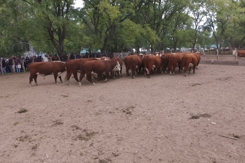 Gira Hereford Mesopotámica 2022: Visita a Establecimiento Santa Rita y Soc.Rural de Chajarí