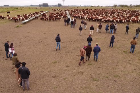 Gira Hereford Mesopotámica 2022: Visita a Establecimiento Santa Rita y Soc.Rural de Chajarí