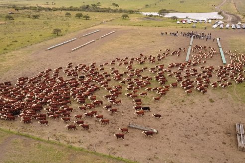 Gira Hereford Mesopotámica 2022: Visita a Establecimiento Santa Rita y Soc.Rural de Chajarí