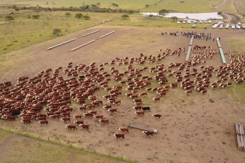 Gira Hereford Mesopotámica 2022: Visita a Establecimiento Santa Rita y Soc.Rural de Chajarí