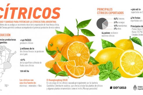 Aquí, el nuevo mapa de la producción citrícola de Argentina