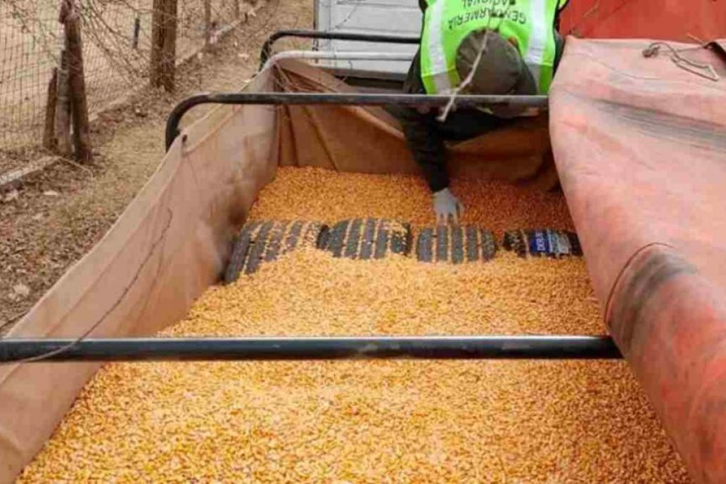 El valor de la carga ilegal se estimó en 7,5 millones de pesos.