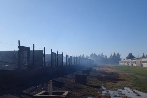 El fuego acabó con un galpón de recría de porcinos de Coopar